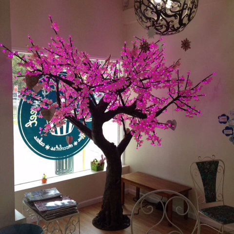 Keep It Short And Sweet - Accommodation Georgetown 0