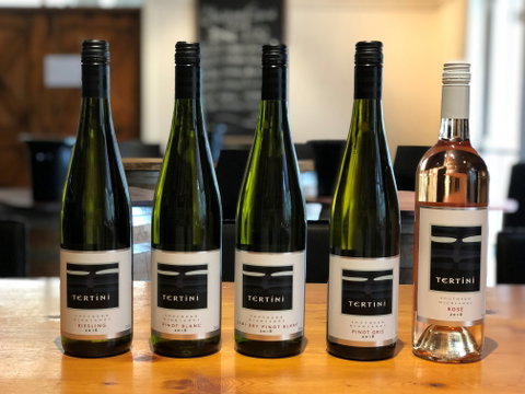 Tertini Wines - Accommodation Georgetown 2