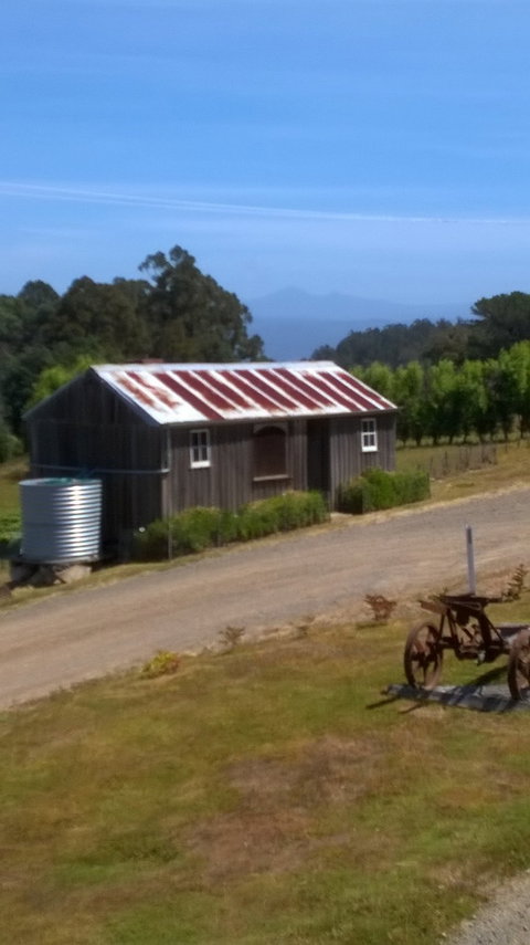 Hartzview Vineyard Cafe - Accommodation Georgetown 1
