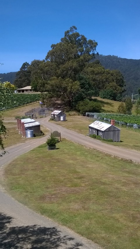 Hartzview Vineyard Cafe - Accommodation Georgetown 2