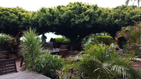 Wharf Restaurant - Accommodation Georgetown 0