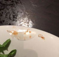 The Colonial Hotel - Accommodation Georgetown