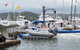 Gosford Sailing Club - thumb 10