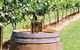 Cedar Creek Estate Vineyard & Winery Restaurant - thumb 13