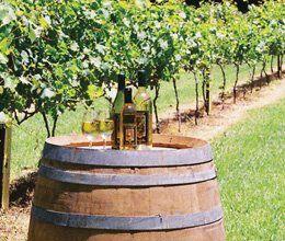 Cedar Creek Estate Vineyard & Winery Restaurant - Accommodation Georgetown 13