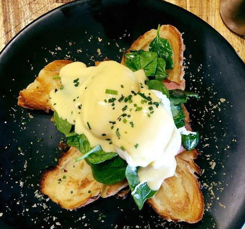 Delish Of Erina - Accommodation Georgetown 12