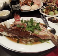 Shark Fin Inn - Accommodation Georgetown