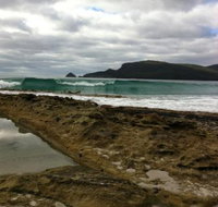 Bruny Island Berry Farm - Accommodation Georgetown