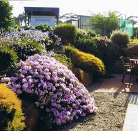 Pipers River Tea House and Crafts - Accommodation Georgetown