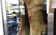 Fibber McGee's Irish Pub & Steakhouse - thumb 8