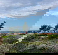 Coffee Cat - Accommodation Georgetown