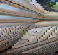 Silver Star Cafe - Accommodation Georgetown