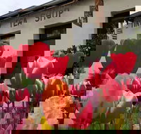 Tiny Tea Shop - Accommodation Georgetown