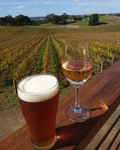 Anderson Hill Cellar Door Restaurant - Accommodation Georgetown 4