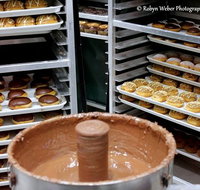 Krispy Kreme - Accommodation Georgetown