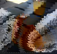 Clove Licensed Restaurant - Accommodation Georgetown