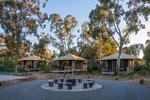 Discovery Parks Barossa Valley - Accommodation Georgetown 0