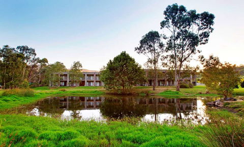 York on Lilydale Resort - Accommodation Georgetown 0