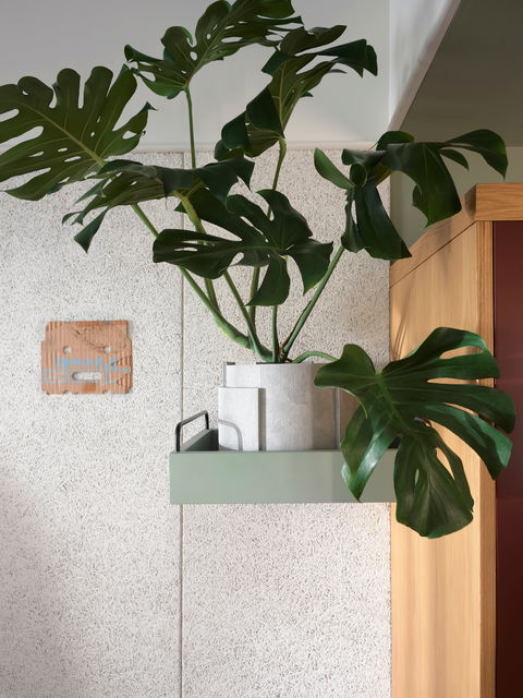 ACE Hotel Sydney - Accommodation Georgetown 0