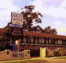 Golden Chain Ascot Motor Inn - Accommodation Georgetown