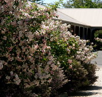 Wine Village Motor Inn - Accommodation Georgetown