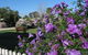Wine Village Motor Inn - thumb 15