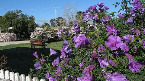 Wine Village Motor Inn - Accommodation Georgetown 15