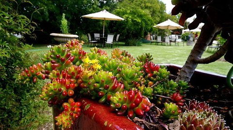 Wine Village Motor Inn - Accommodation Georgetown 17