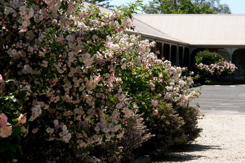 Wine Village Motor Inn - Accommodation Georgetown 0