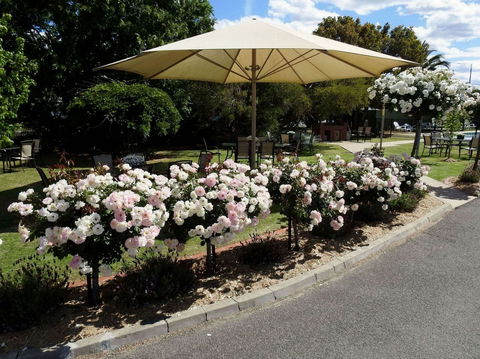 Wine Village Motor Inn - Accommodation Georgetown 1