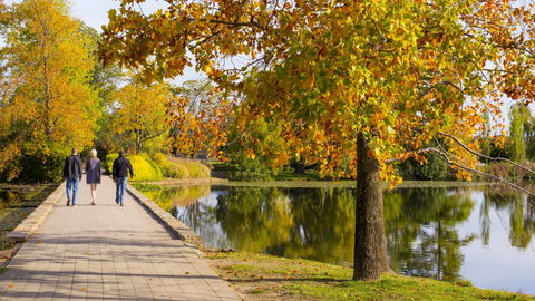 Crowne Plaza Canberra - Accommodation Georgetown 17