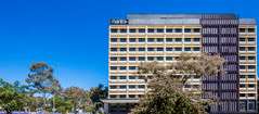Mantra MacArthur Hotel - Accommodation Georgetown 0