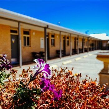MAS Country Club Motor Inn - Accommodation Georgetown 1