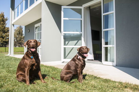 Abode Narrabundah - Accommodation Georgetown 20