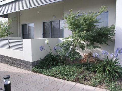 Kesh At Aamira - Accommodation Georgetown 16