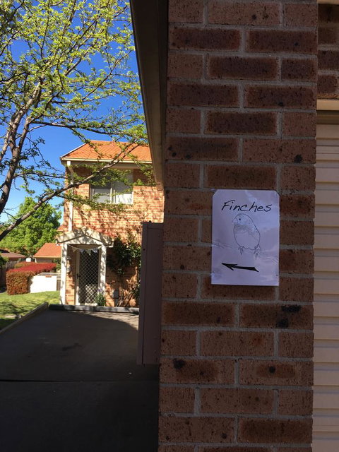 Finches Canberra - Accommodation Georgetown 6