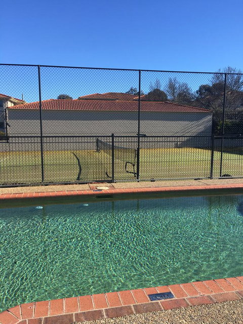 Finches Canberra - Accommodation Georgetown 34