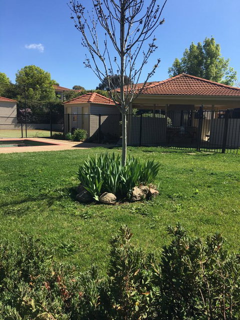 Finches Canberra - Accommodation Georgetown 29