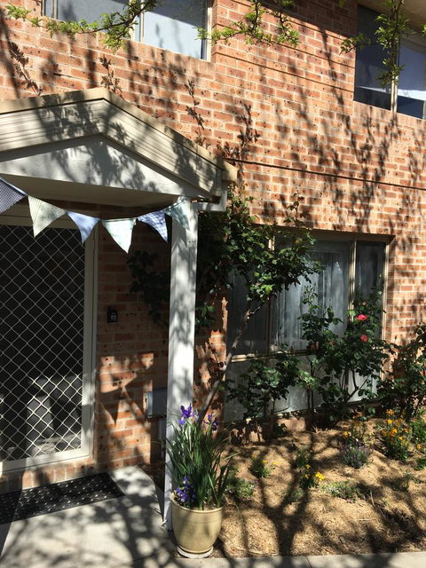 Finches Canberra - Accommodation Georgetown 31