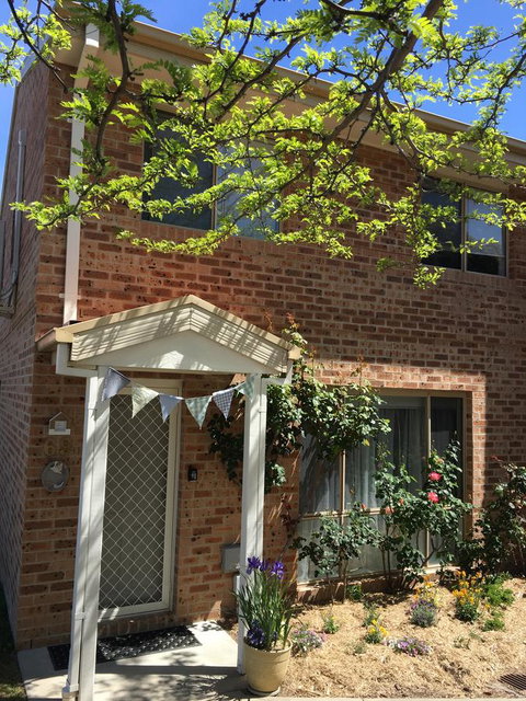 Finches Canberra - Accommodation Georgetown 9