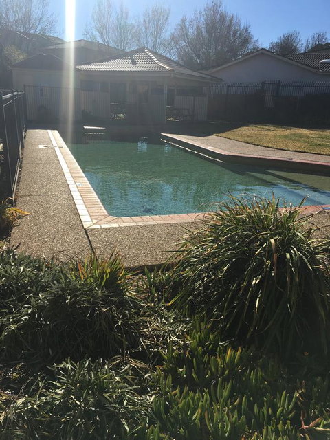 Finches Canberra - Accommodation Georgetown 36
