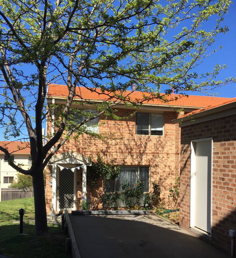 Finches Canberra - Accommodation Georgetown 8