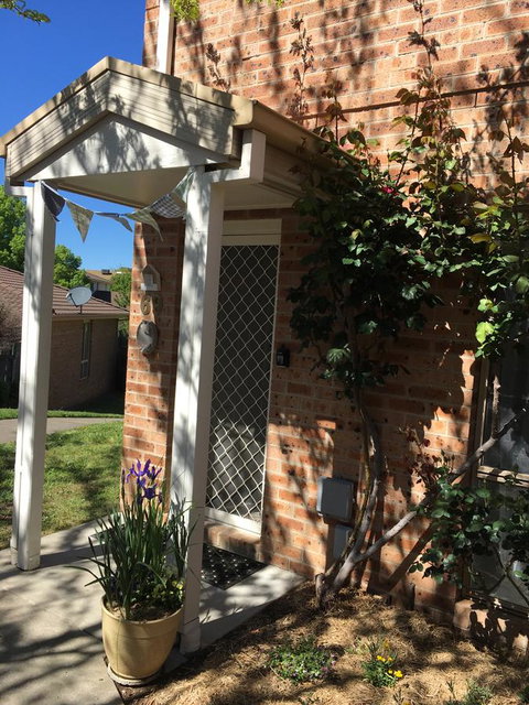 Finches Canberra - Accommodation Georgetown 33