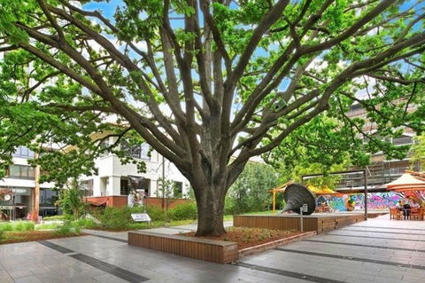 Canberra Luxury Apartment 3 - Accommodation Georgetown 29