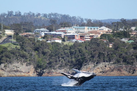 Heritage House Motel & Units - Accommodation Georgetown 27