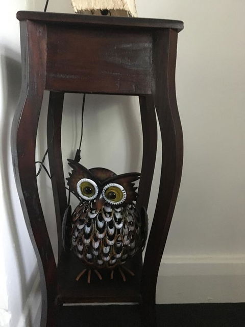 Cowan Street Bungalow - Accommodation Georgetown 8