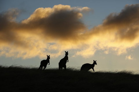 Sky House Kangaroo Island - Accommodation Georgetown 37