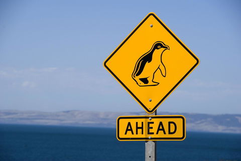 Kangaroo Island Seafront - Accommodation Georgetown 43