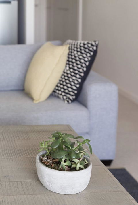 Port Adelaide Executive Waterfront Apartment - Accommodation Georgetown 18