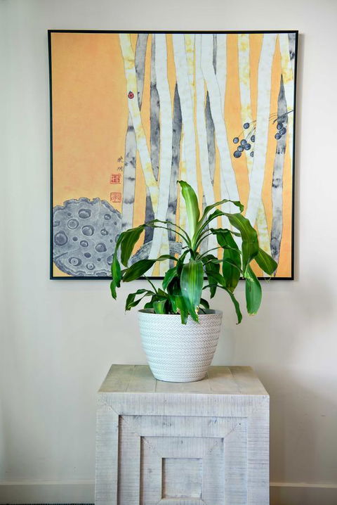 Port Adelaide Executive Waterfront Apartment - Accommodation Georgetown 15